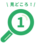 見どころ！