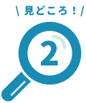見どころ！