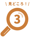 見どころ！